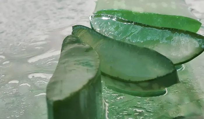 Pack Soin Cheveux a base daloe vera