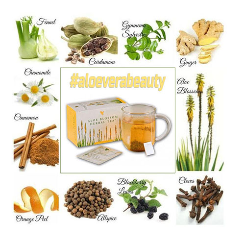 Infusion Fleur d’Aloès