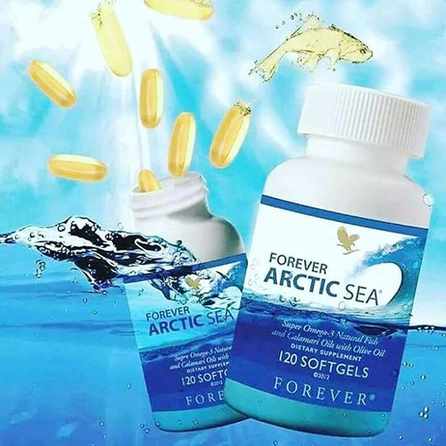 Forever Arctic Sea