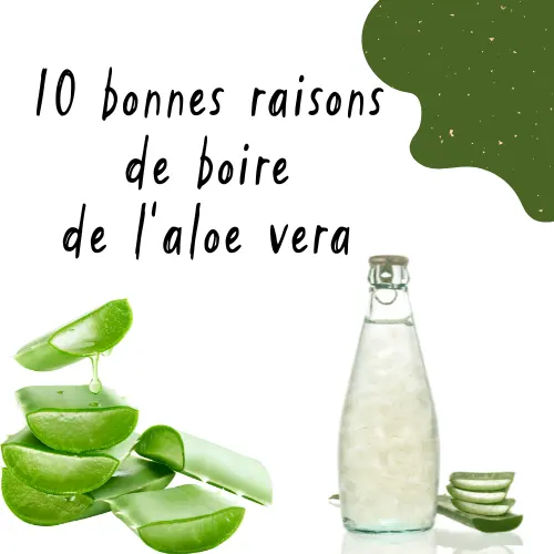 10 bonnes raisons de boire de l'aloe vera pour votre santé