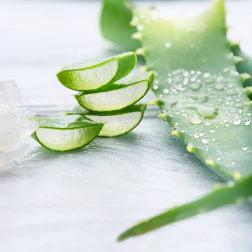 aloe vera & détox : comment ça marche vraiment ?