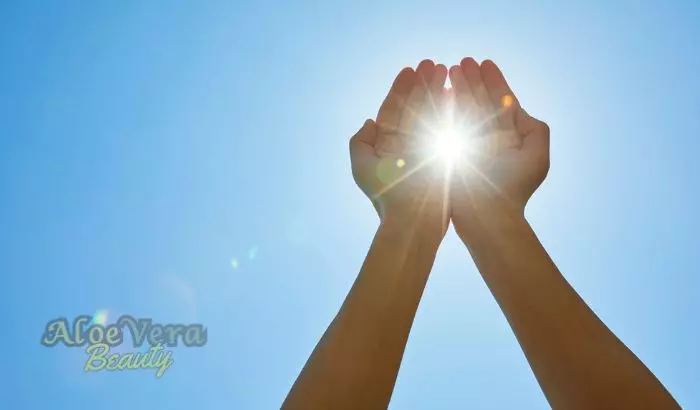 Découvrez l’Aloe Sunscreen