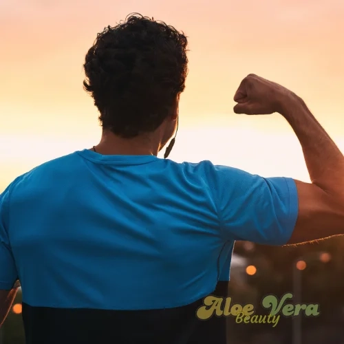 Forever Arctic Sea : Le Secret D'un Cœur Plus Fort Et D'une Vie Plus équilibrée