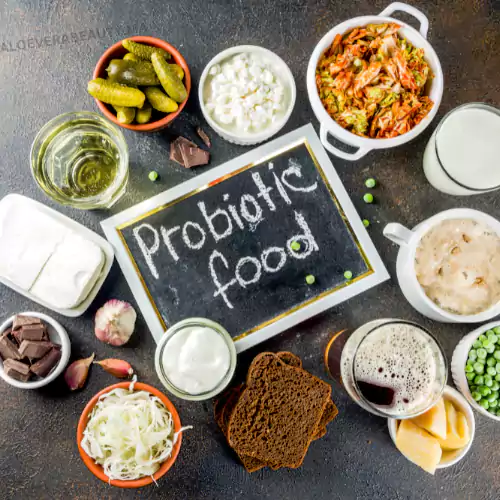 L'importance des probiotiques pour une meilleure digestion