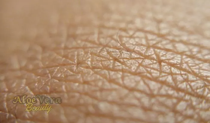 Peaux sensibles : L’Écran Solaire Aloès est-il la solution idéale