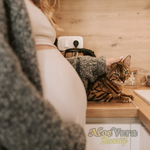 Pack Digestion Forever : Une Solution Naturelle Pour éliminer Ballonnements Et Gaz